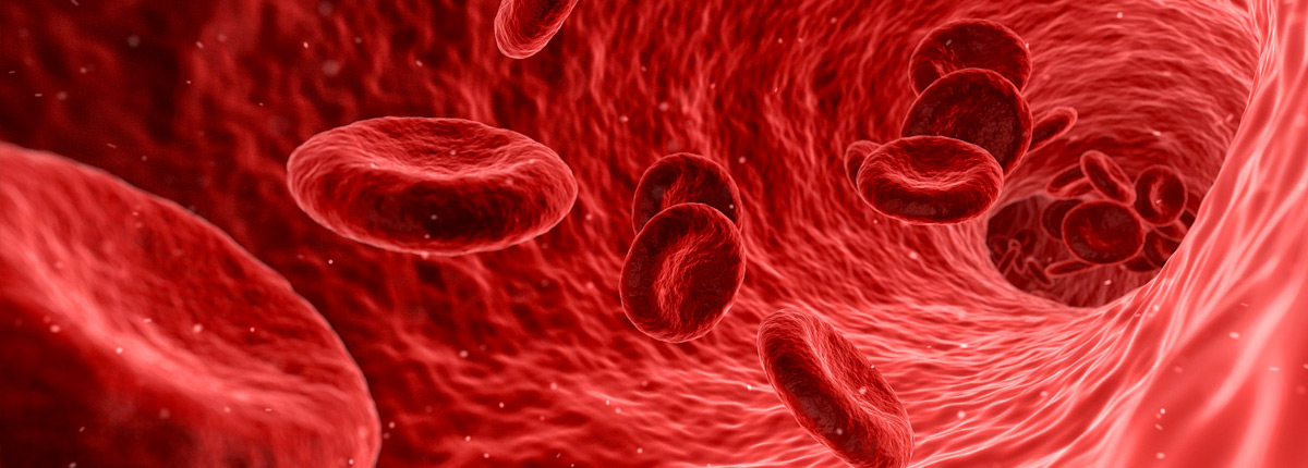 ambulatori medici ematologia
