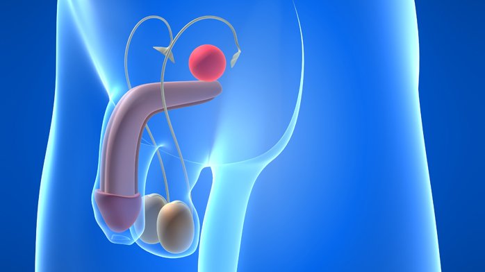 urologia2